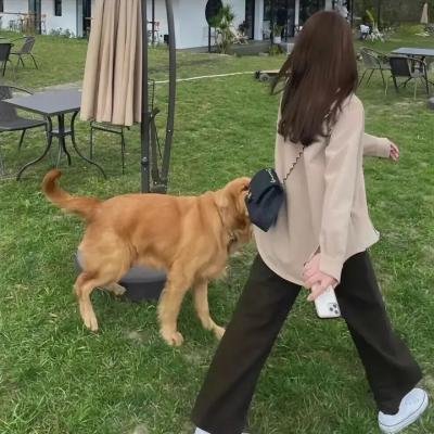 隨懿深度行
