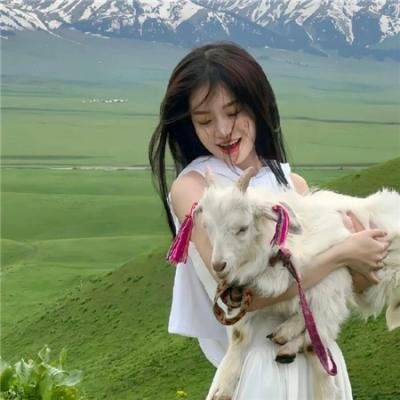 黑人奥菲尔